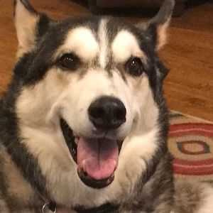 Meet your Posher, Christine